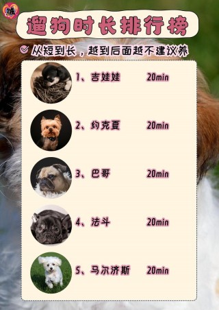 狗狗几个月可以出去溜，（狗狗几个月可以开始遛）