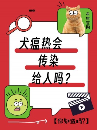 狗狗发烧会传染给人吗，狗发烧会自愈吗？