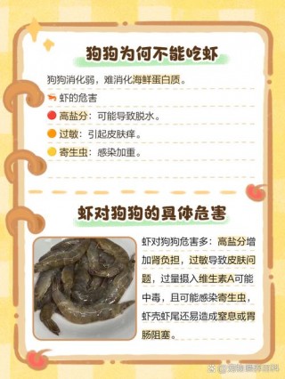 泰迪狗狗能吃虾吗，（泰迪狗可以吃虾吗）