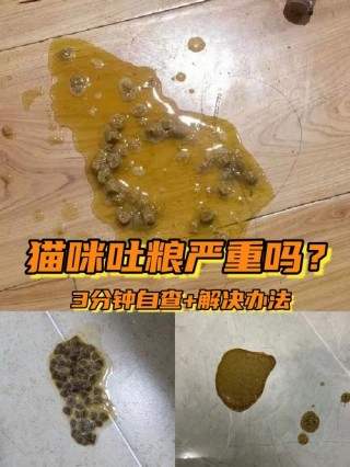 猫咪反胃干呕怎么回事？猫咪 反胃（最新）