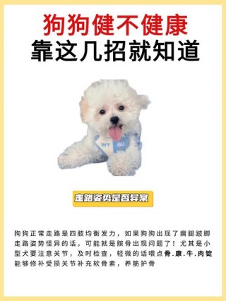 怎样判断狗狗是否健康，（怎么判断狗狗健康）