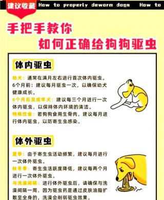 狗狗每月都要驱虫吗，（狗狗一定要每个月驱虫吗）