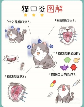 猫咪为什么会得口炎，猫咪为何得口炎？