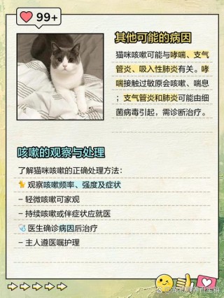 猫咪咳嗽怎么回事，（猫咪咳嗽是因为啥）