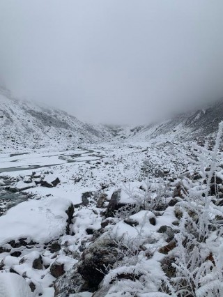 峨眉山景区能带狗狗吗，（峨眉山景区能带狗狗吗现在）