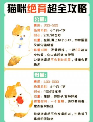 猫咪多大适合绝育，（猫多大才能绝育）