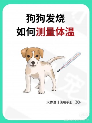 狗狗的正常体温是多少度？狗狗的正常体温是多少度用家里寻常体温计可以量吗（最新）