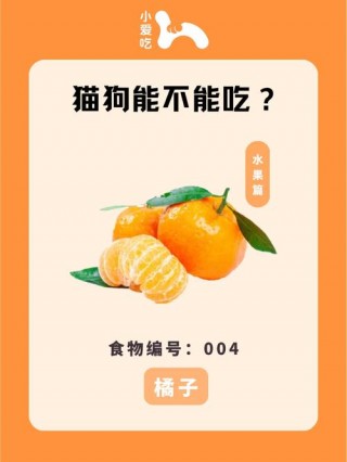 狗狗可以吃橘子么，（狗狗可以吃橘子么?）