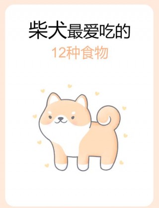 狗狗每天吃蛋黄好吗？狗狗每天吃蛋黄可以吗（最新）