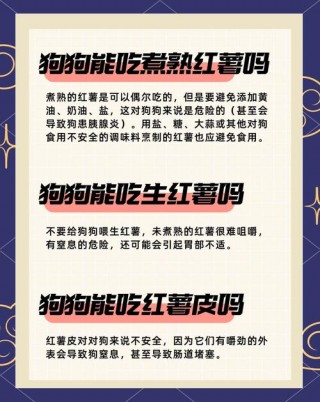 狗狗可以吃地瓜干吗，（狗狗可以吃地瓜干嘛）
