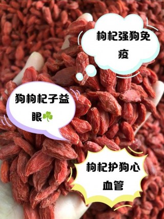 狗狗可以吃枸杞吗，狗狗可以吃枸杞嘛？