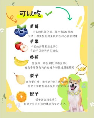 狗狗吃橘子好吗，（狗狗吃橘子好吗?）