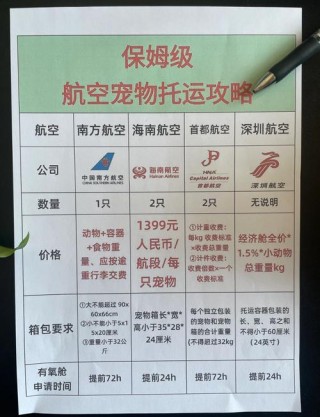 猫咪能带上飞机吗，猫咪能带上飞机吗需要些什么？