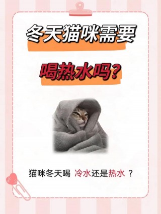 猫咪能喝温水吗，（猫咪能喝温水吗?）