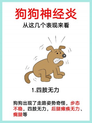 狗狗抽搐是什么原因，（狗狗抽搐是什么原因,该用什么药）
