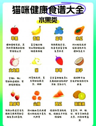 猫咪可以吃羊肉吗，猫猫能吃羊肉不？