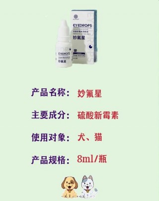 狗狗能用氯霉素眼药水吗，狗狗能用氯霉素眼药水吗一天几次？