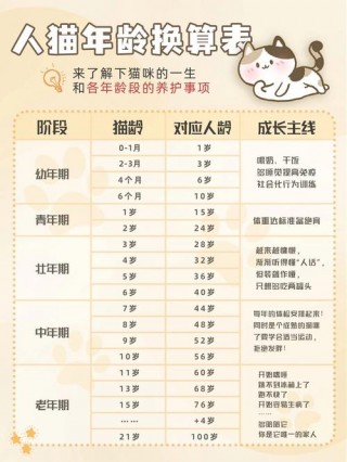 猫咪什么时候成年，猫咪什么时候成年?？