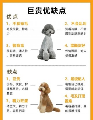 狗狗吃肉不吃狗粮怎么办，小狗吃肉不？