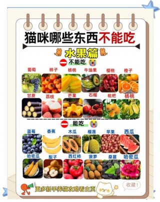猫咪不能吃的水果，猫咪前十禁忌水果？