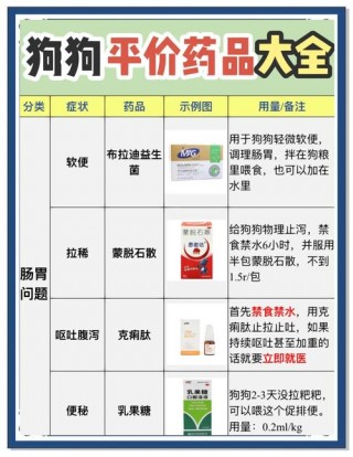 小狗狗吐了怎么办，小狗狗吐了怎么办呢？