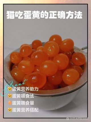 猫猫能吃蛋黄吗，（猫咪是否可以吃蛋黄）