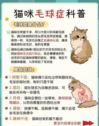 猫咪得了毛球症怎么办？猫咪得了毛球症怎么办能治好吗（最新）