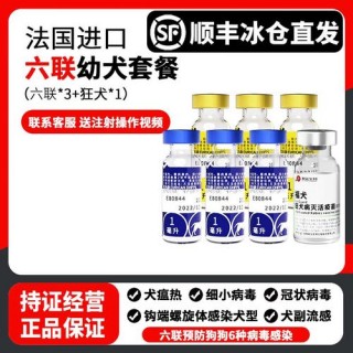狗狗六联疫苗打几针，狗狗六联是几针？