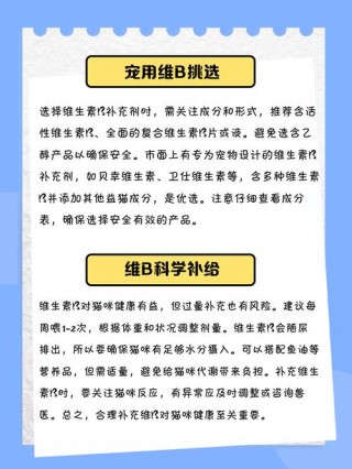 猫咪补充维生素b的作用，猫咪补充维生素b的作用与功效？