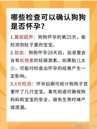 怎样判断狗狗是否怀孕？怎么判断狗狗怀孕免费询问（最新）