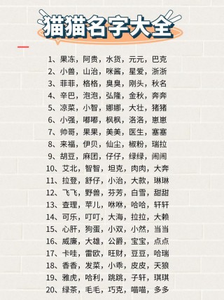 给猫咪取个特殊的名字？给猫取个特别的名字（最新）