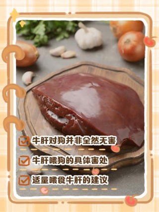 狗狗吃牛肝好吗，（狗狗吃牛肝好吗怎么吃）