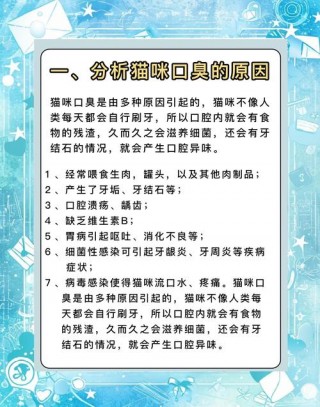 猫咪口臭是什么原因，（猫咪口臭的原因）