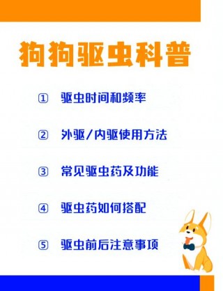 狗狗驱虫什么时候开始，狗狗驱虫是什么时候？