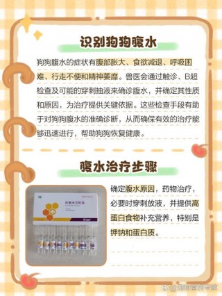 狗狗腹水怎么办，狗狗腹水是什么症状？