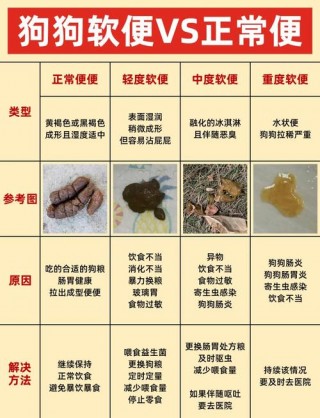 狗狗拉稀一般几天会好，（狗狗拉稀一般几天会好起来）