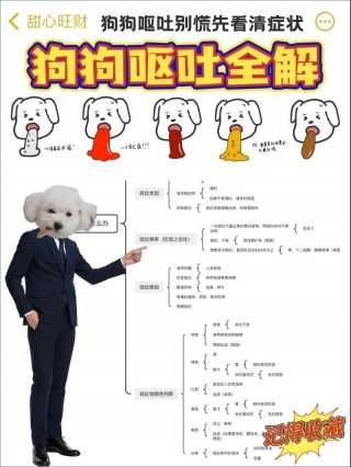 小狗狗呕吐怎么办，（小狗呕吐怎么回事儿?）