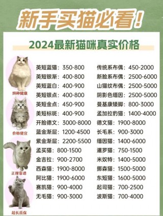 猫咪配种多少钱，猫咪配种多少钱银渐层？