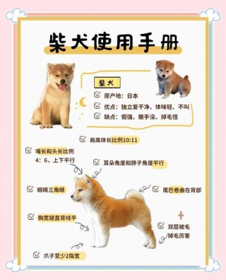 狗狗多大可以带出去，狗狗多大可以带出去大小便？