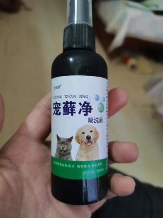 狗狗皮肤真菌感染用什么药，（狗狗皮肤真菌感染用什么药效果好一点）