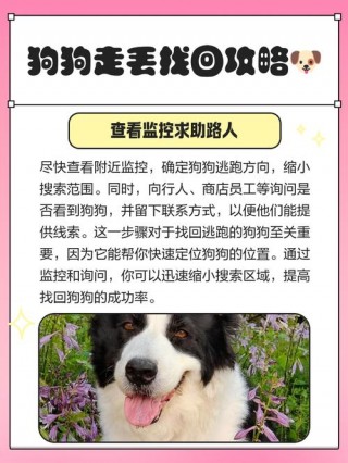 狗狗认识回家的路吗，狗狗认识回家的路但是跑丢了？