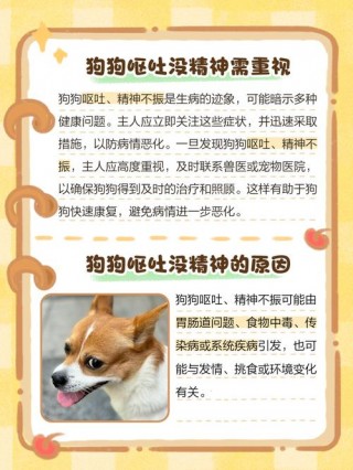 狗狗呕吐拉肚子怎么办，狗狗呕吐拉肚子怎么办啊？