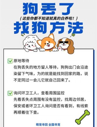 狗狗掉了怎么找回来，狗掉了有什么征兆？