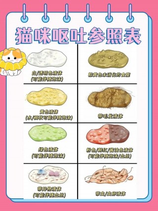 猫咪着凉会吐吗，猫咪着凉会吐吗怎么办？