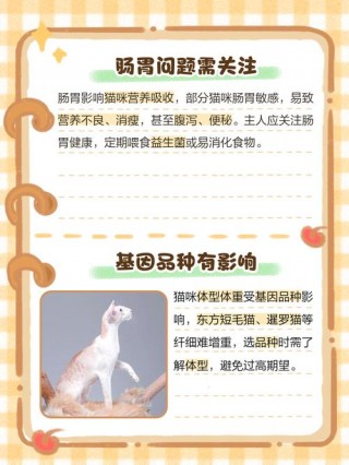 猫咪瘦了好多怎么回事，（我家猫突然瘦了很多）