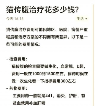 一般猫咪剖腹产多少钱？猫咪剖腹产大概多少钱（最新）