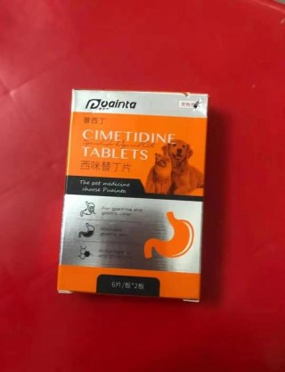 猫咪突然吐黄水，（猫咪突然吐黄水死了）