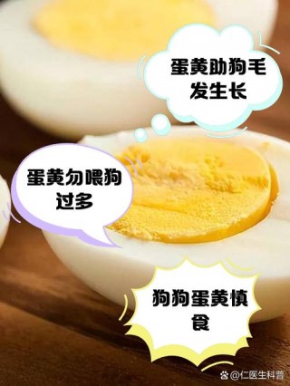 狗狗吃鸡蛋黄好吗？狗狗吃鸡蛋黄好吗有营养吗（最新）