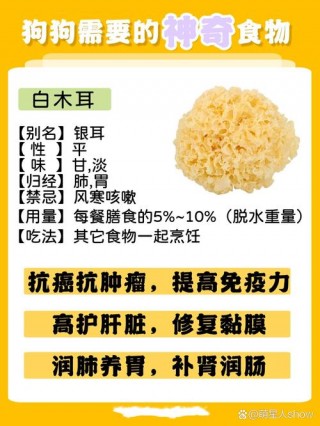 狗狗能吃银耳吗，（狗狗能吃银耳吗会过敏吗）