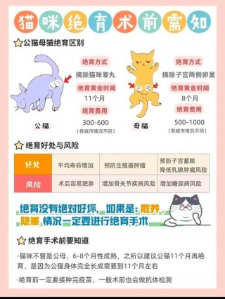 猫咪做绝育好吗，（猫咪做绝育手术好吗）
